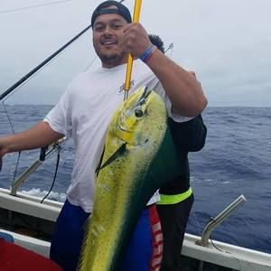 Meet your Posher, Stuart